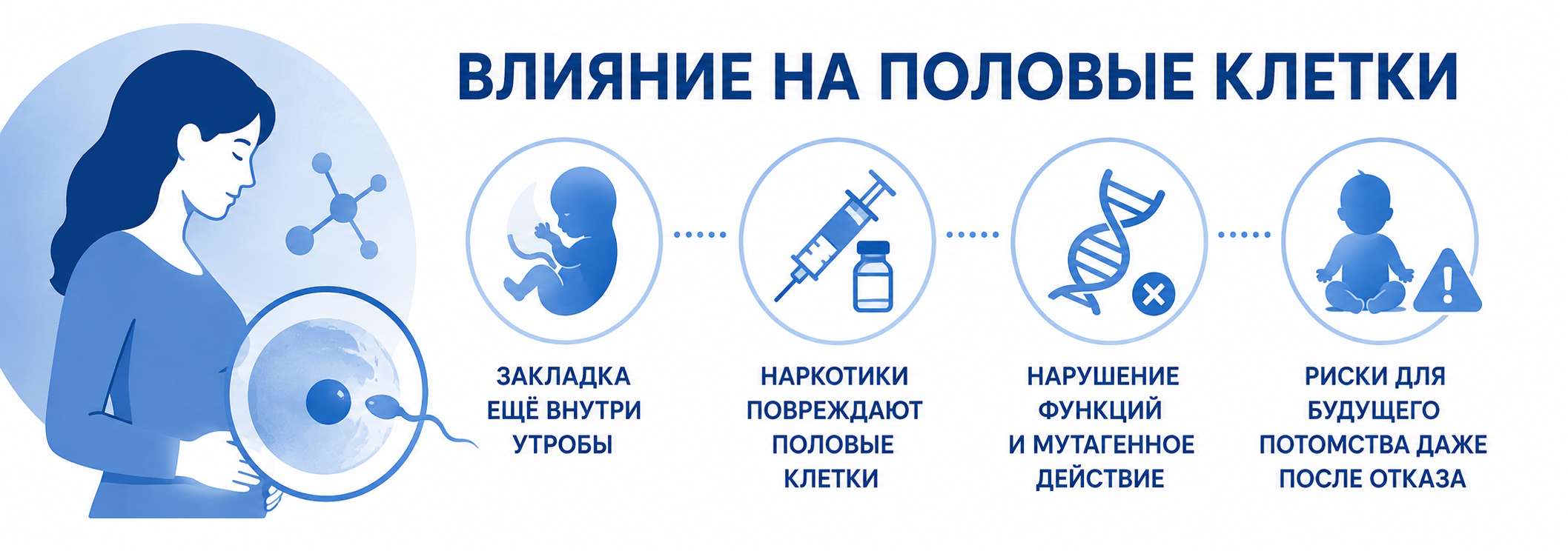 Схема, показывающая влияние наркотиков на половые клетки. Отмечено, что яйцеклетки закладываются ещё во внутриутробном периоде, наркотические вещества повреждают их, нарушают функции и оказывают мутагенное действие, повышая риски для будущего потомства даже после отказа от употребления.